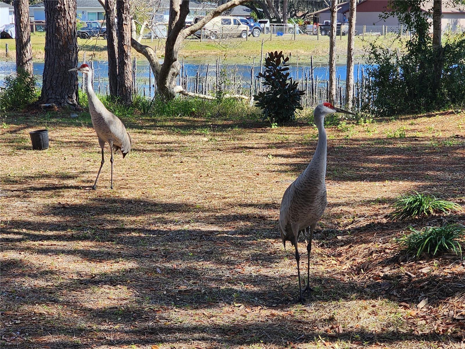 2033 QUINTILIS CT, DELTONA, FL, 32738