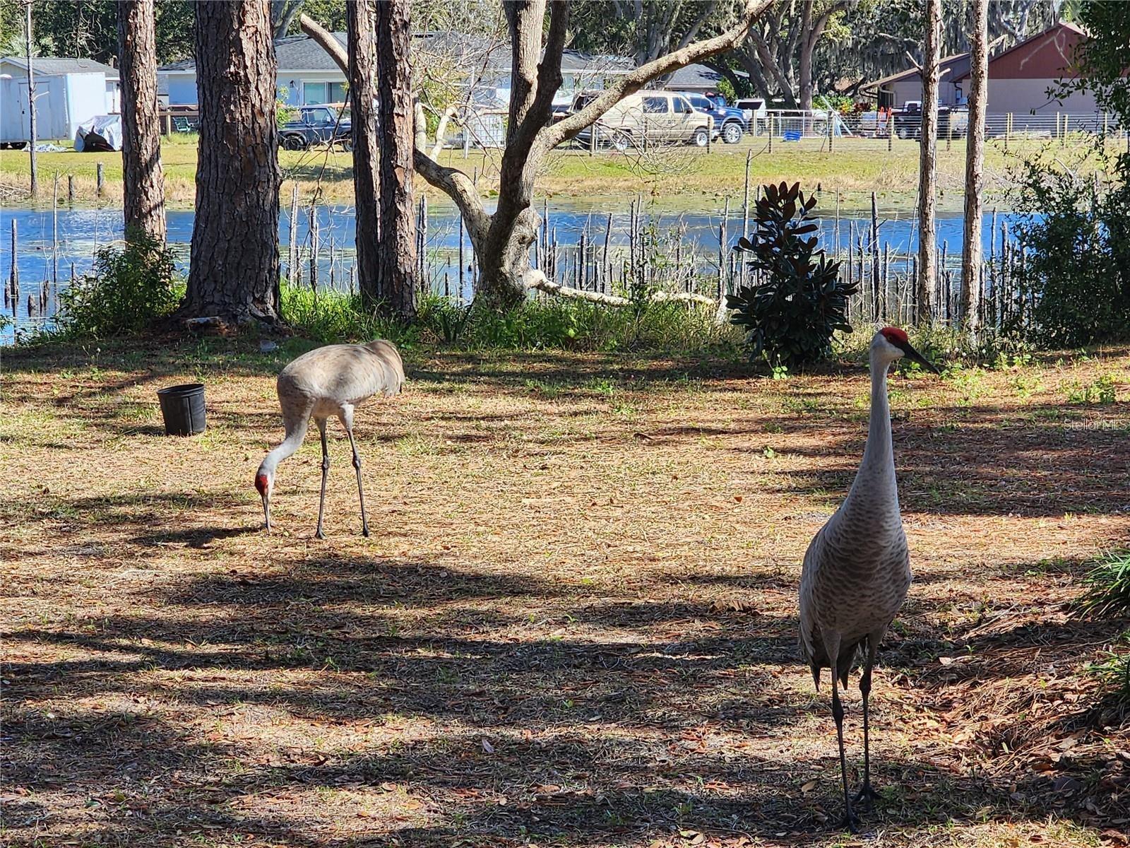 2033 QUINTILIS CT, DELTONA, FL, 32738