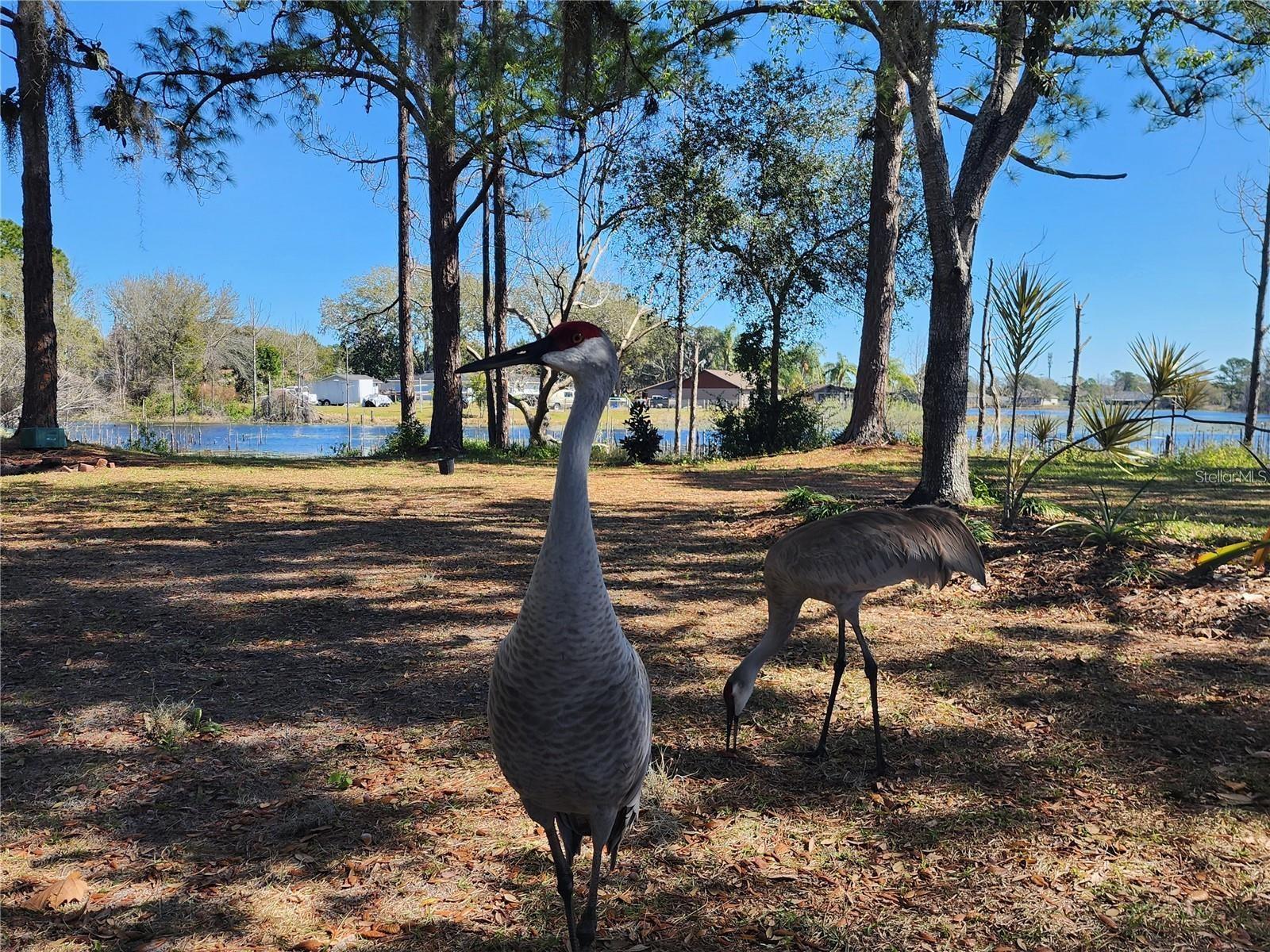 2033 QUINTILIS CT, DELTONA, FL, 32738