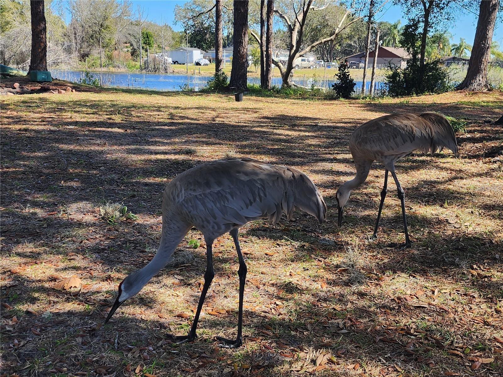 2033 QUINTILIS CT, DELTONA, FL, 32738