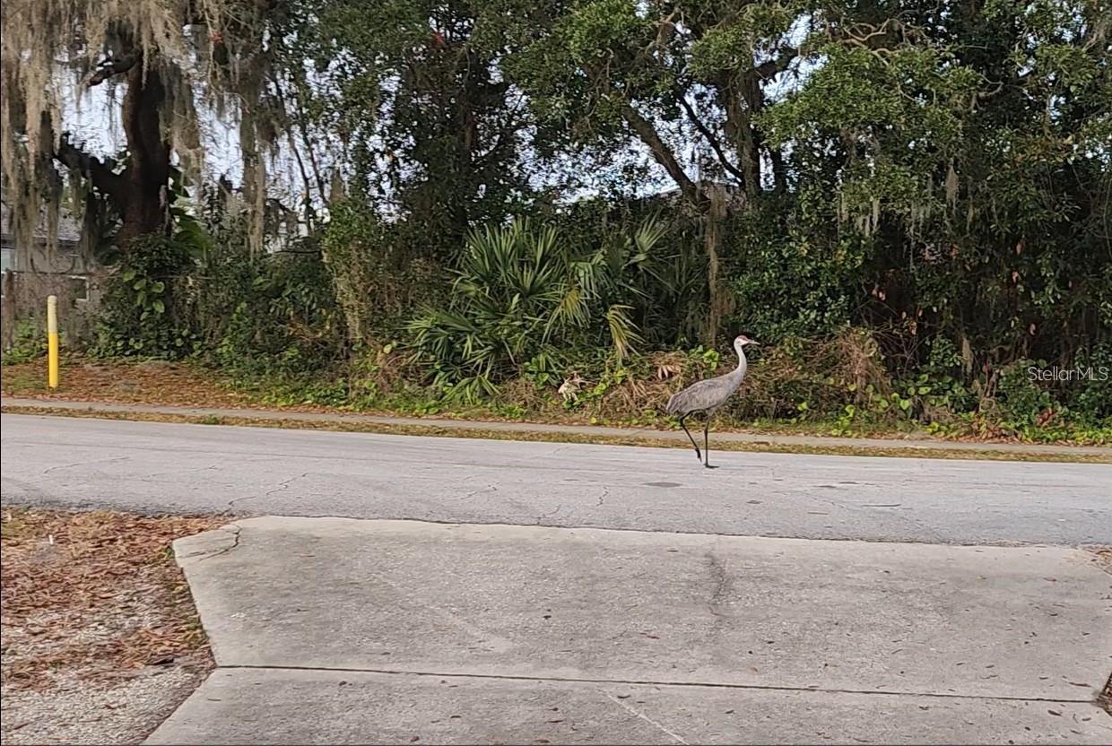 2033 QUINTILIS CT, DELTONA, FL, 32738