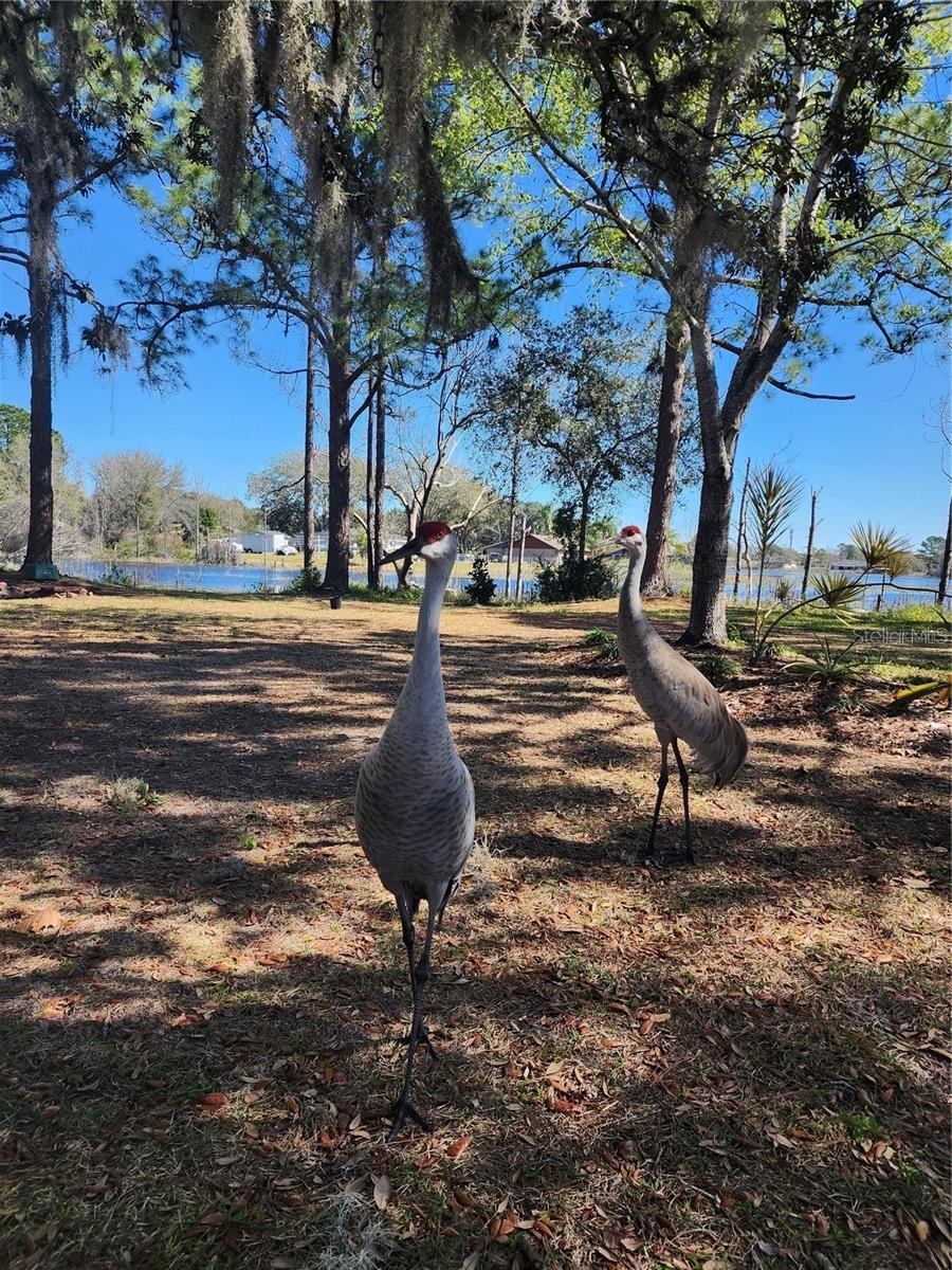 2033 QUINTILIS CT, DELTONA, FL, 32738