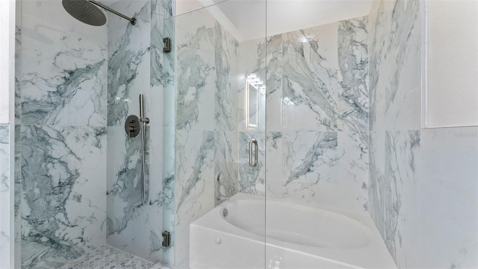11708 CARROLLWOOD COVE DR, TAMPA, FL, 33624