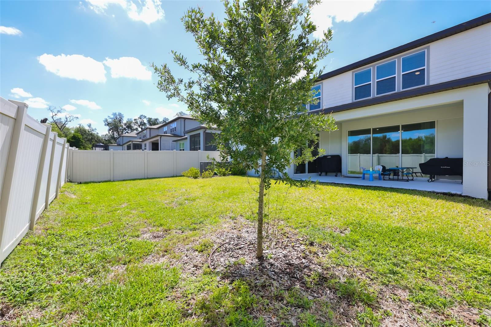 3070 FOREST MEADOW AVE, VALRICO, FL, 33594