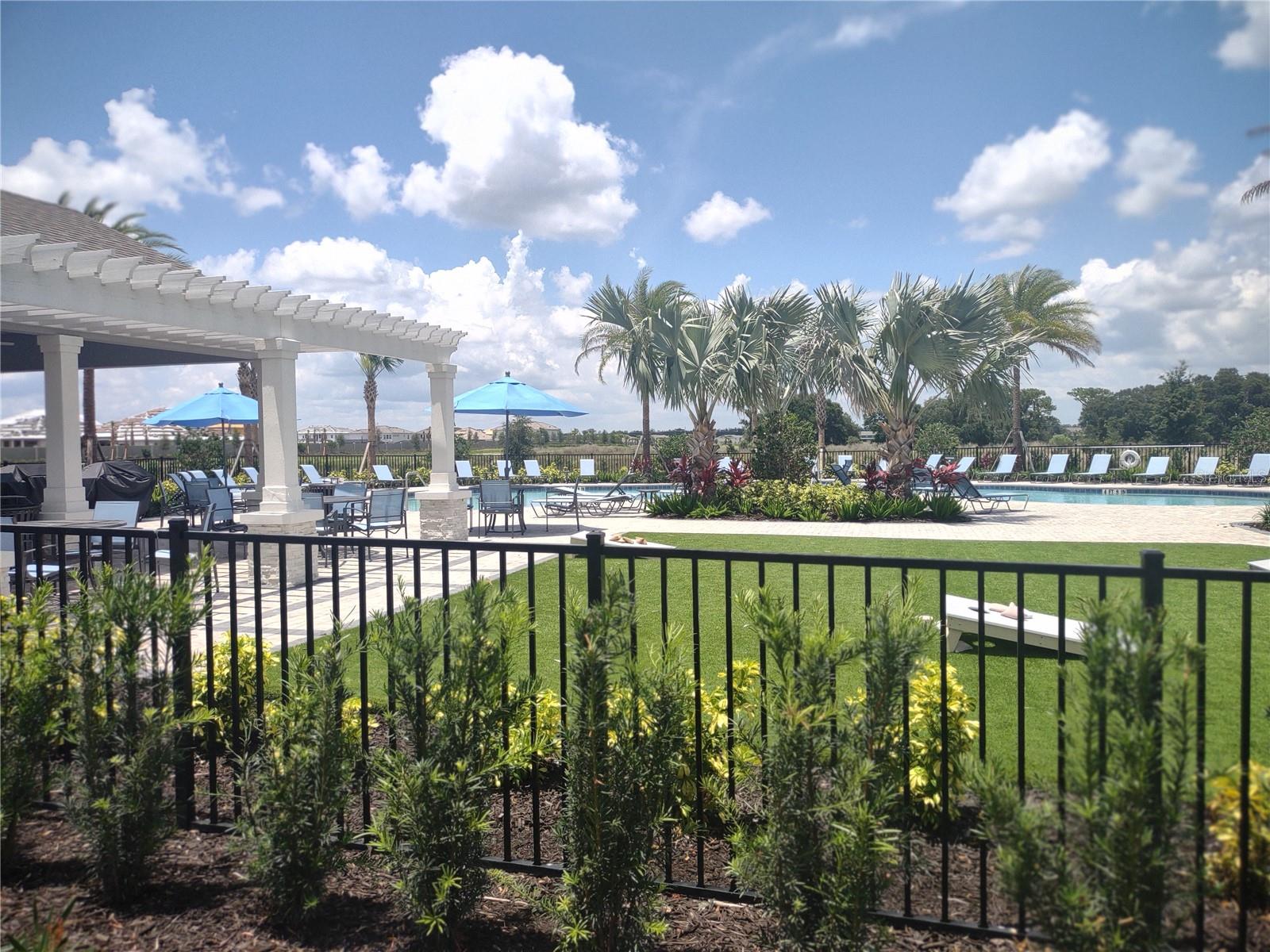 34202 POLACCA LN, WESLEY CHAPEL, FL, 33543