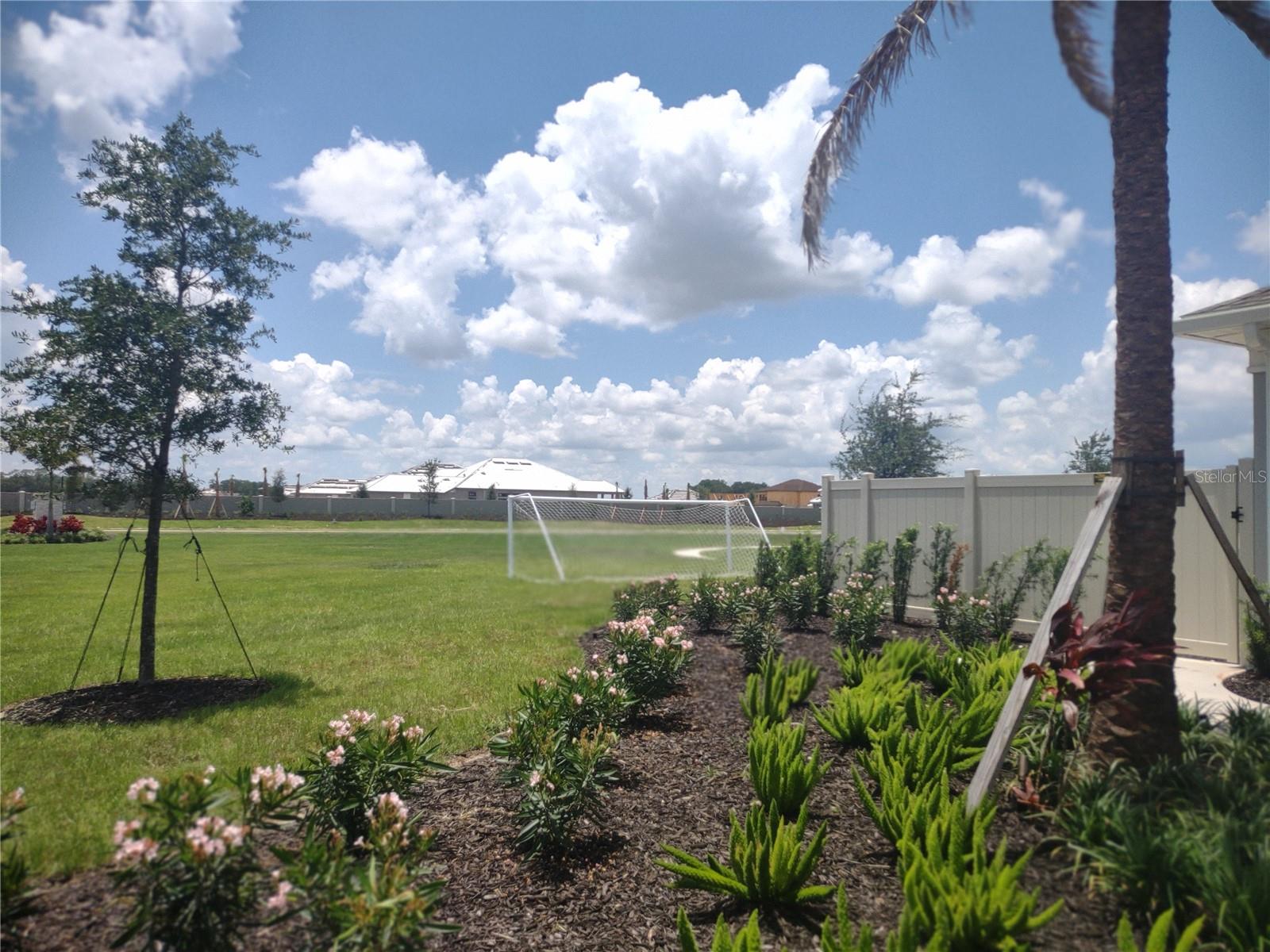 34202 POLACCA LN, WESLEY CHAPEL, FL, 33543