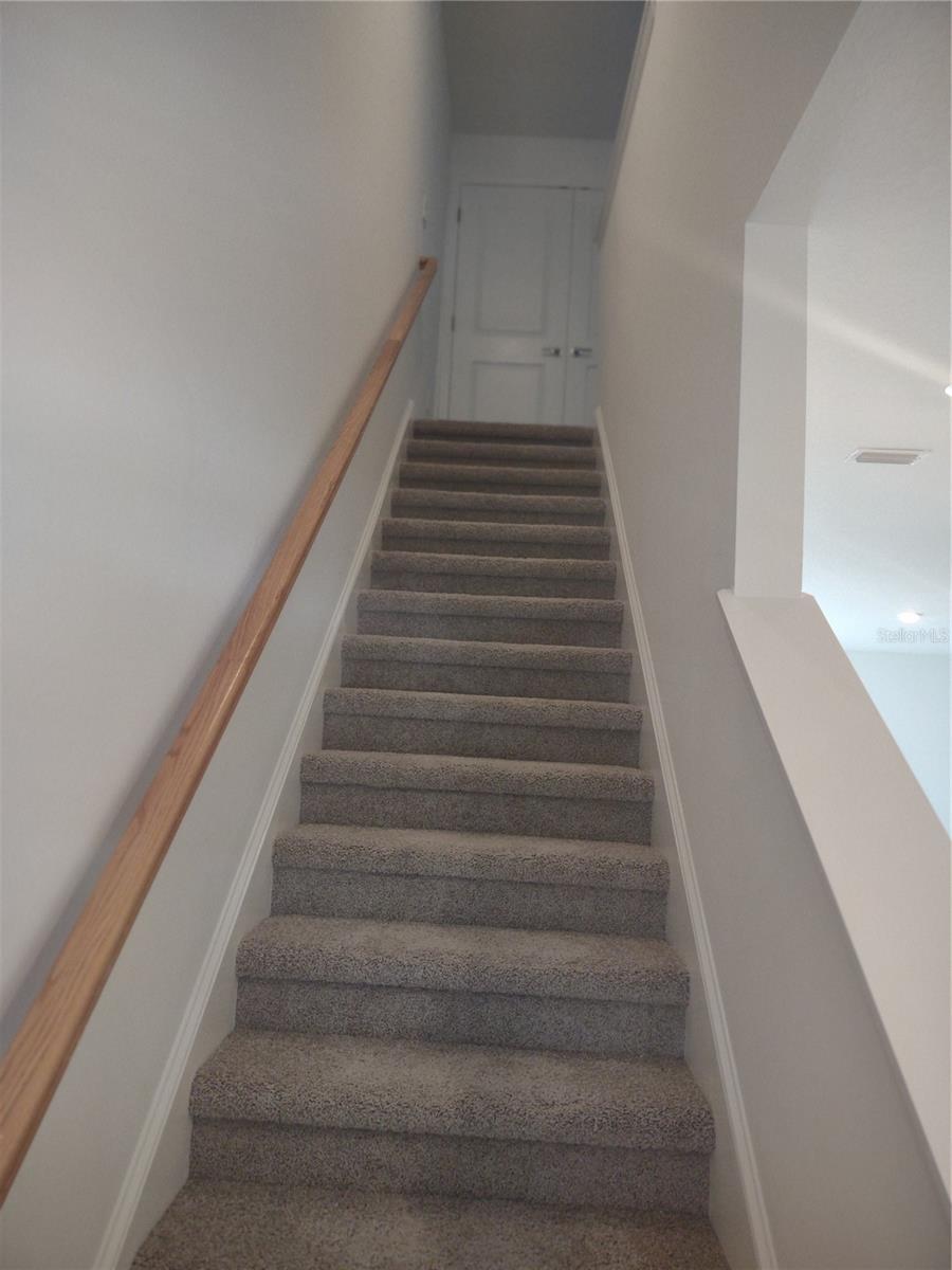 34202 POLACCA LN, WESLEY CHAPEL, FL, 33543