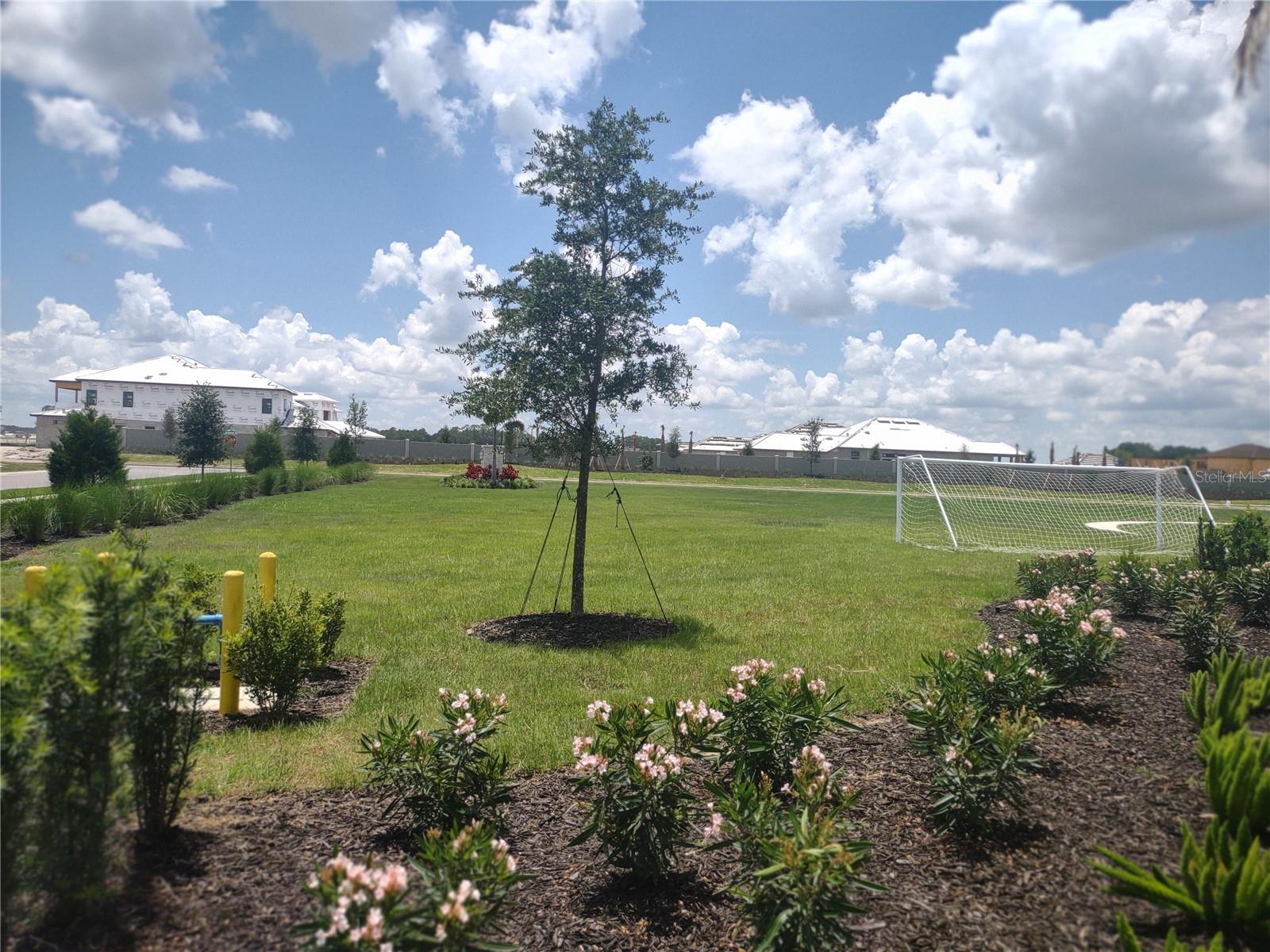 34202 POLACCA LN, WESLEY CHAPEL, FL, 33543