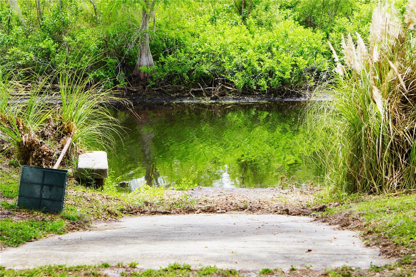 11717 E SALMON DR, FLORAL CITY, FL, 34436