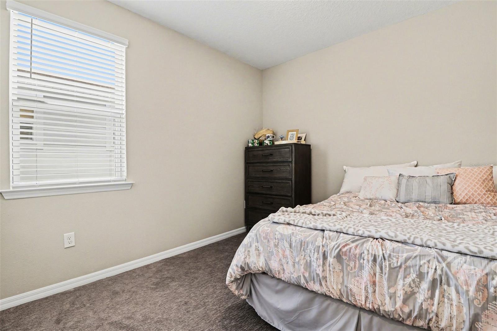 14280 BRAEMAR ST, WINTER GARDEN, FL, 34787