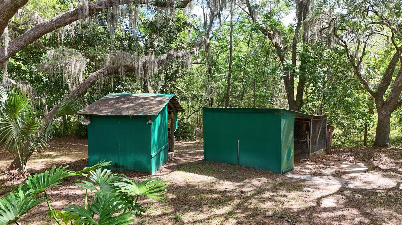 17285 SE 248TH TER, UMATILLA, FL, 32784