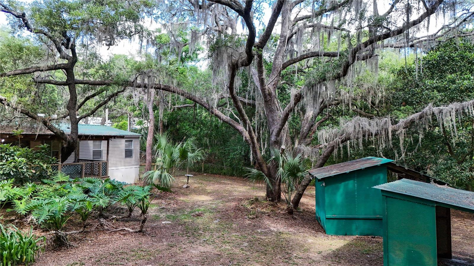 17285 SE 248TH TER, UMATILLA, FL, 32784