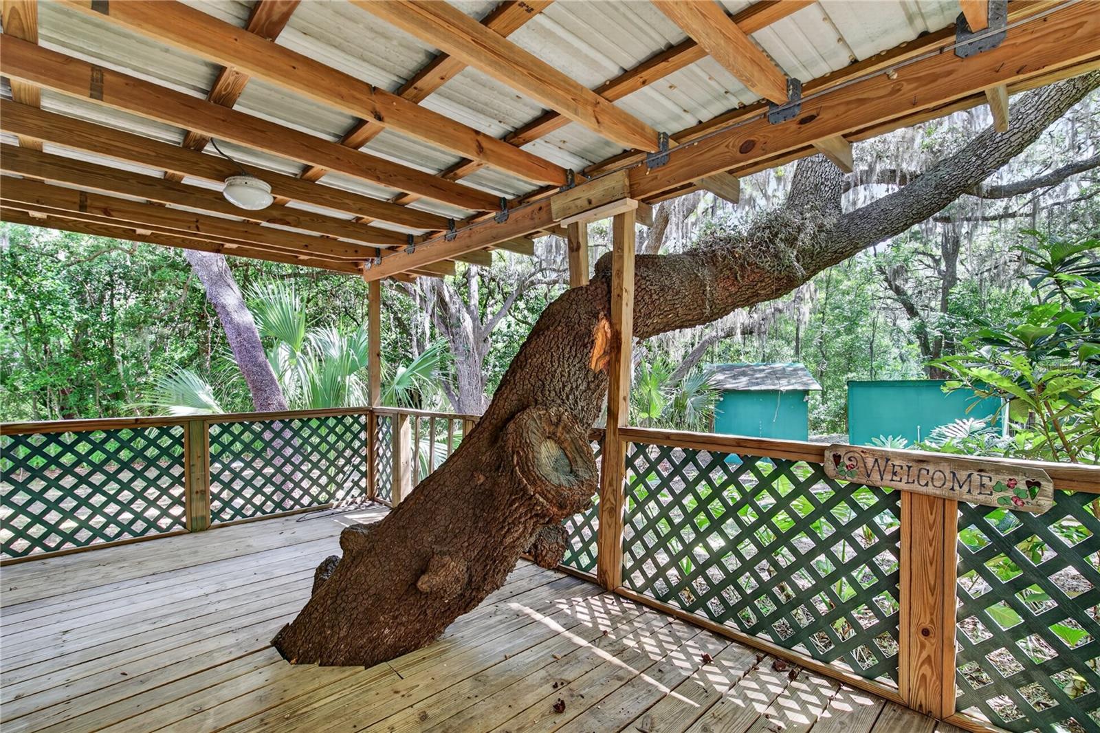 17285 SE 248TH TER, UMATILLA, FL, 32784