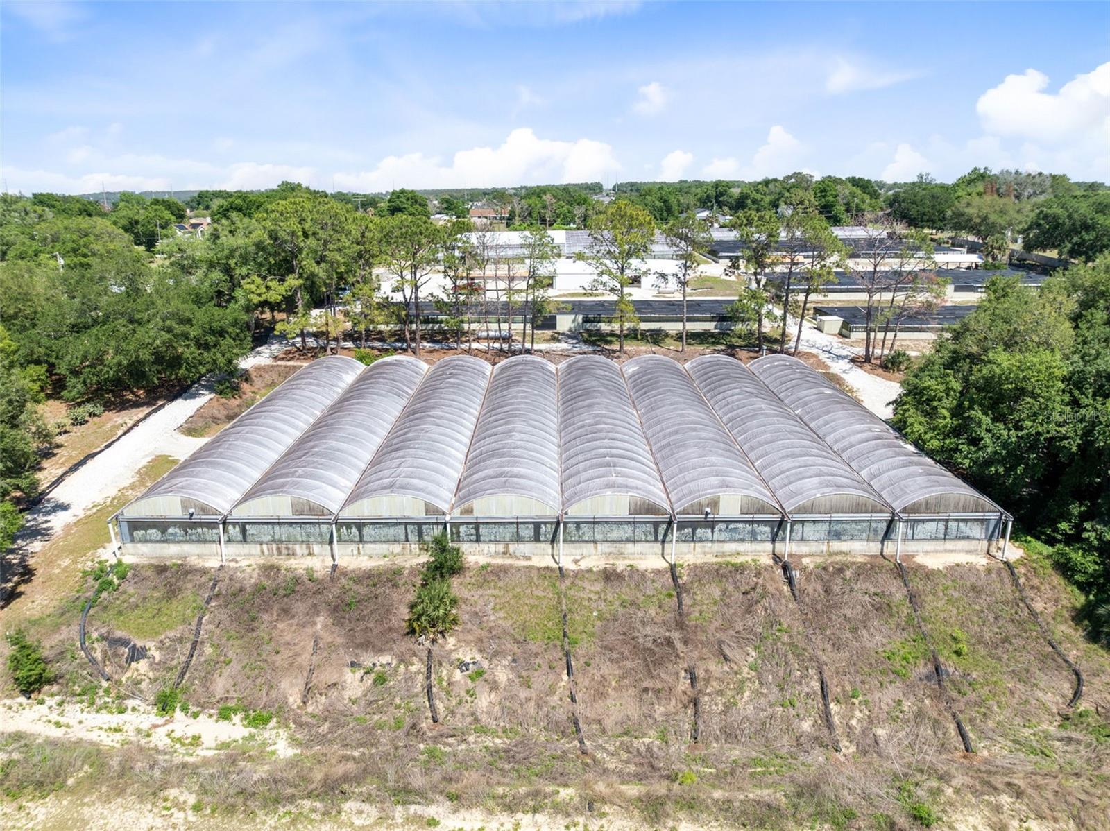 18021 E APSHAWA RD, MINNEOLA, FL, 34715