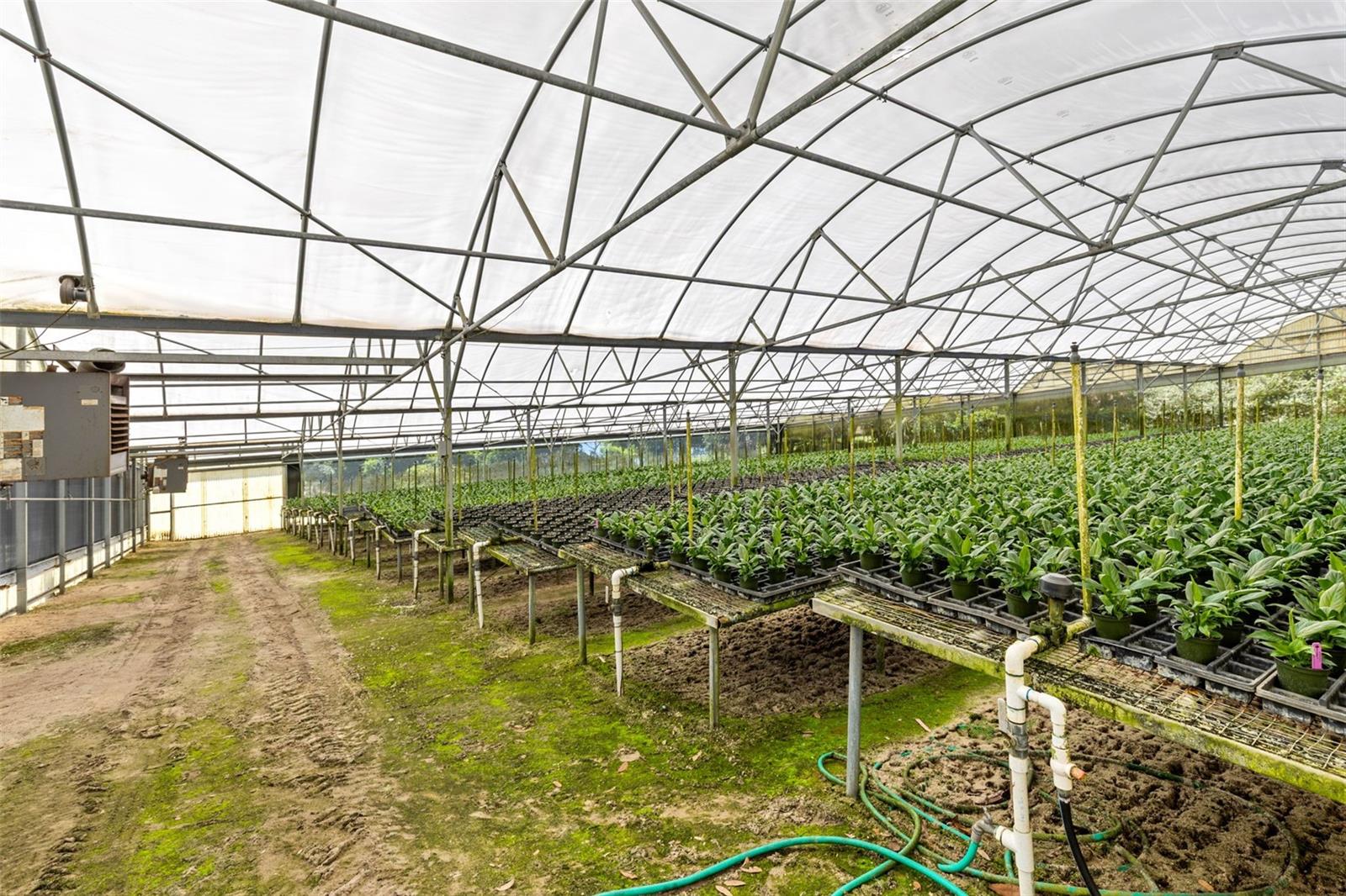 18021 E APSHAWA RD, MINNEOLA, FL, 34715