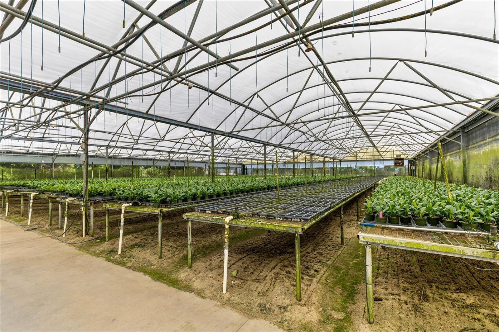 18021 E APSHAWA RD, MINNEOLA, FL, 34715