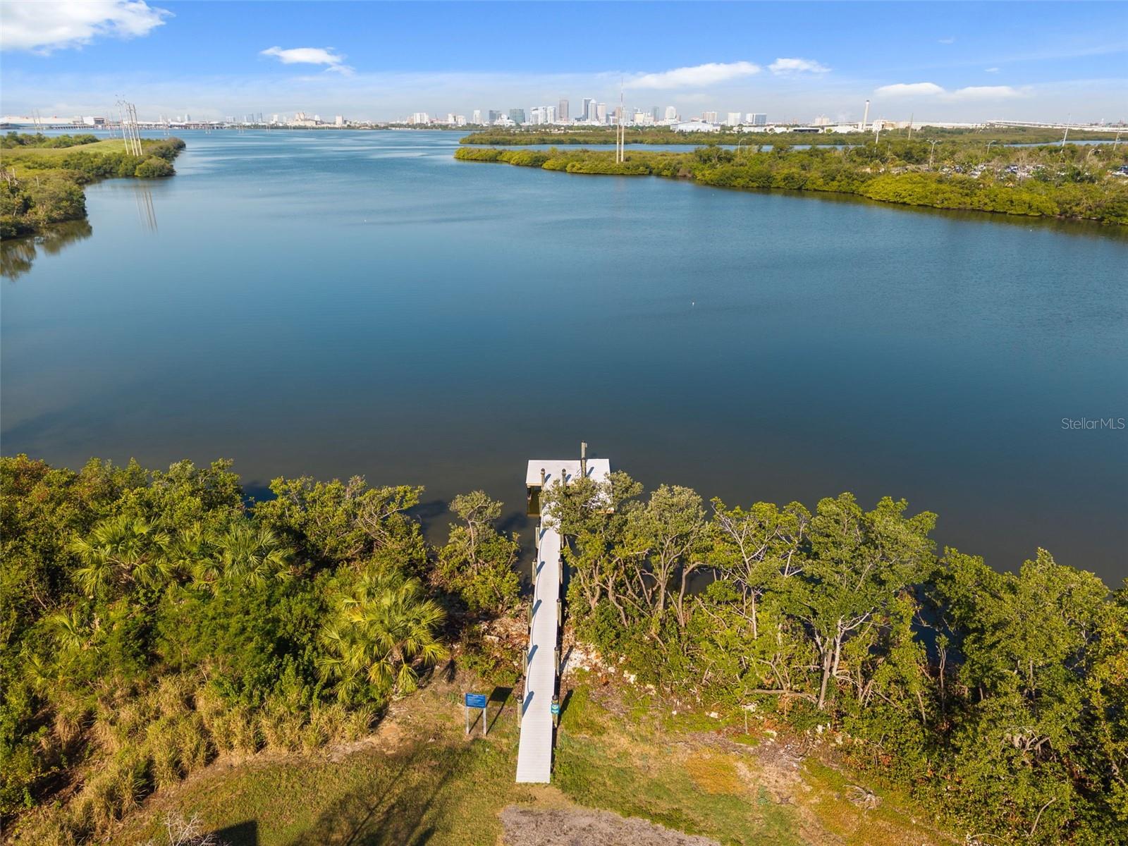 873 TENNYSON MILL CIR, TAMPA, FL, 33619