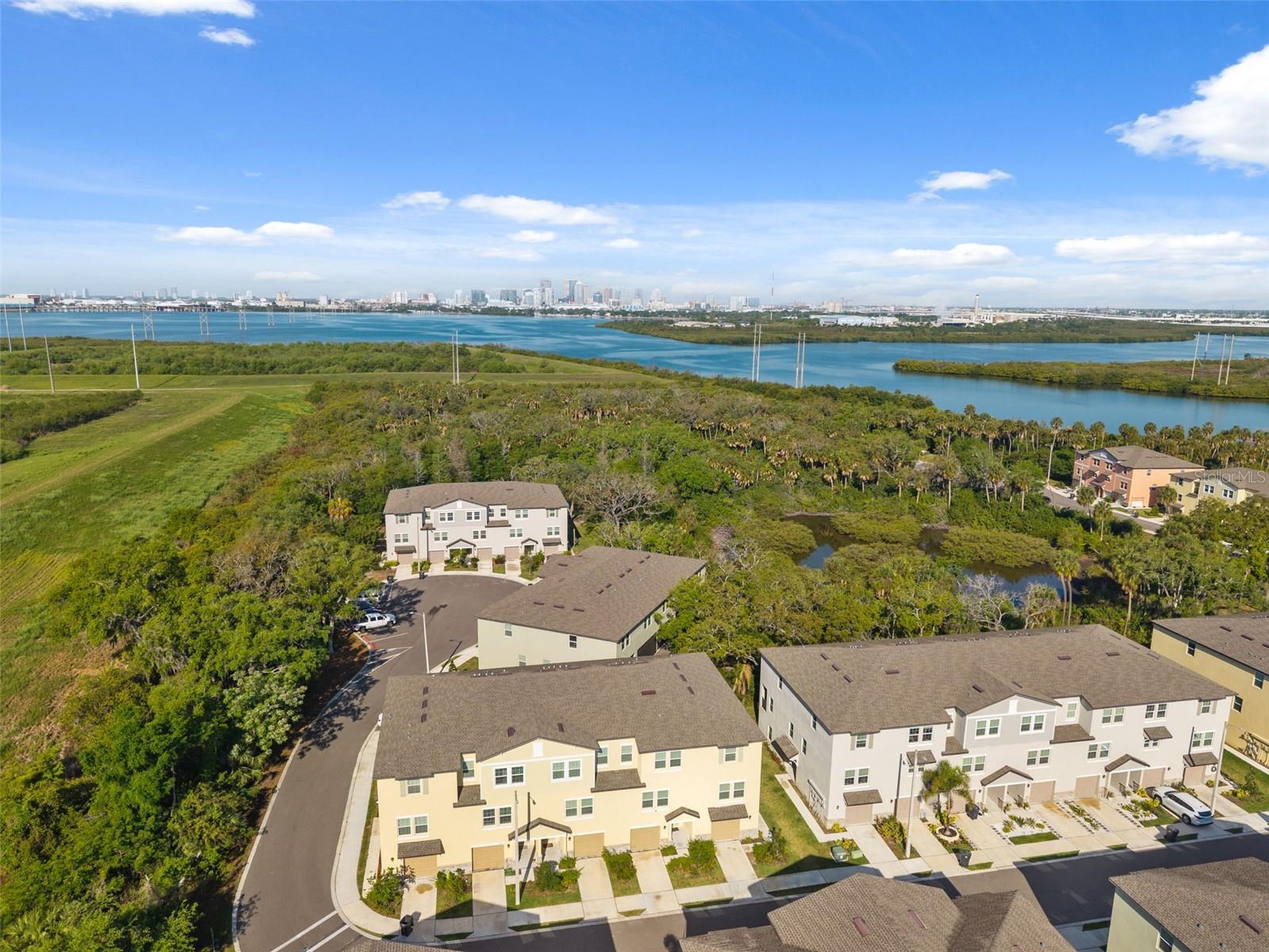 873 TENNYSON MILL CIR, TAMPA, FL, 33619