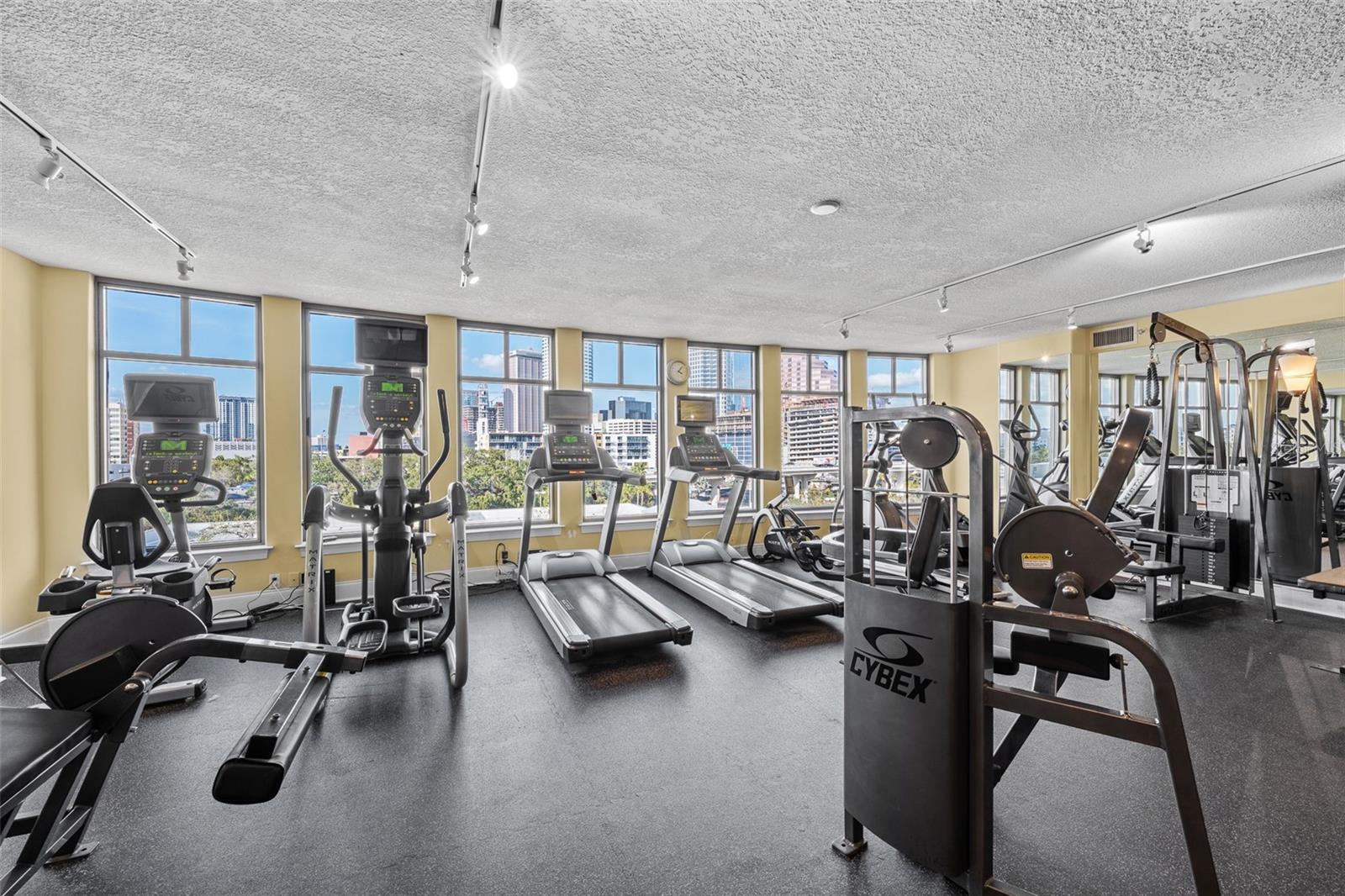 275 BAYSHORE BLVD #804, TAMPA, FL, 33606