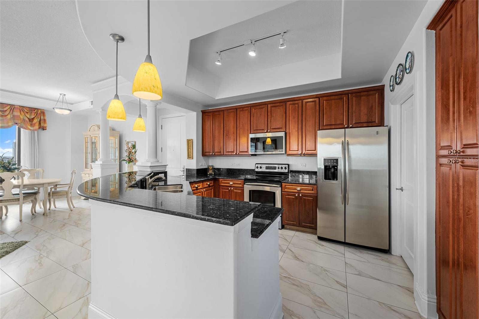 275 BAYSHORE BLVD #804, TAMPA, FL, 33606