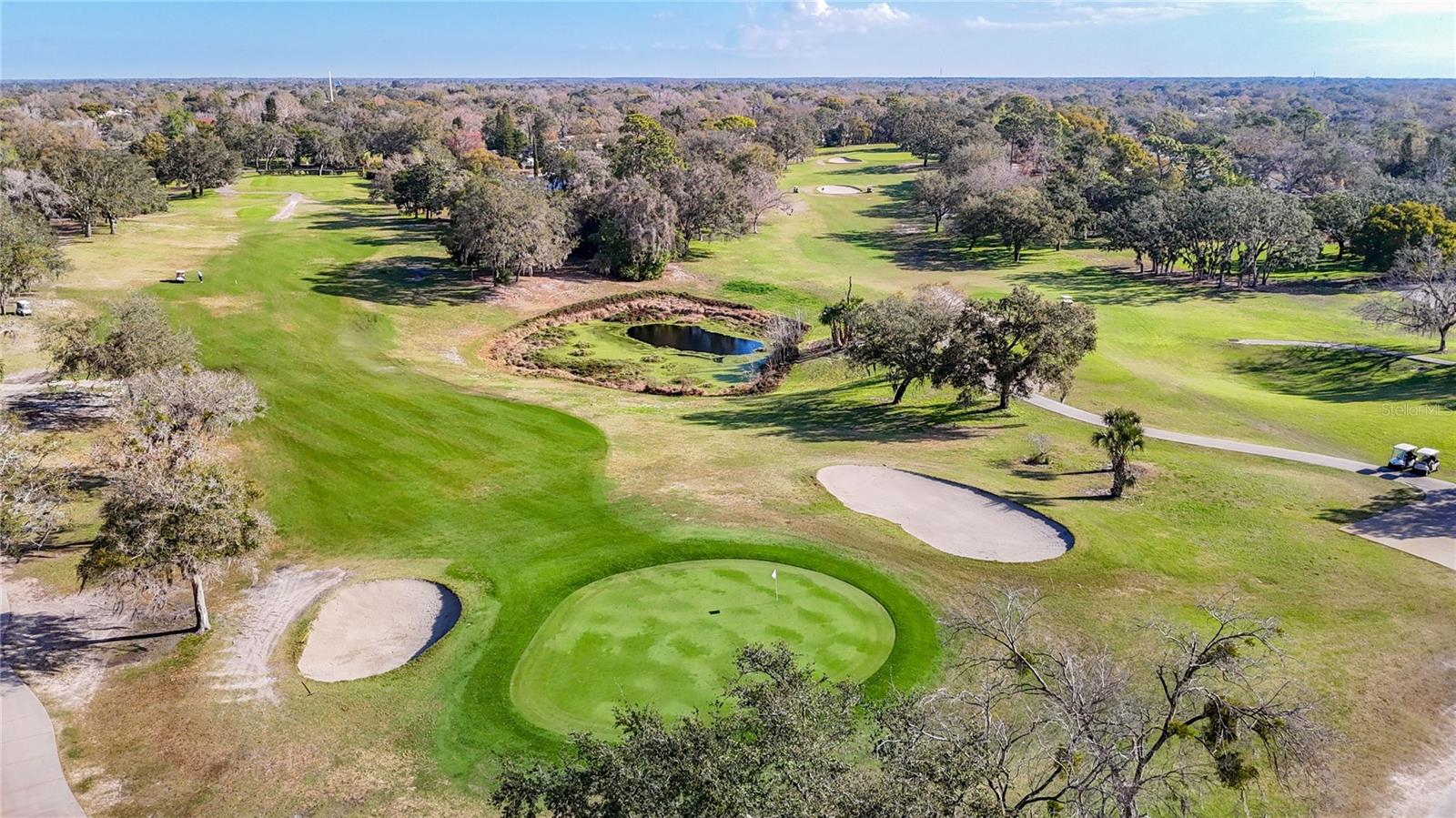 12405 EAGLESWOOD DR #D, HUDSON, FL, 34667