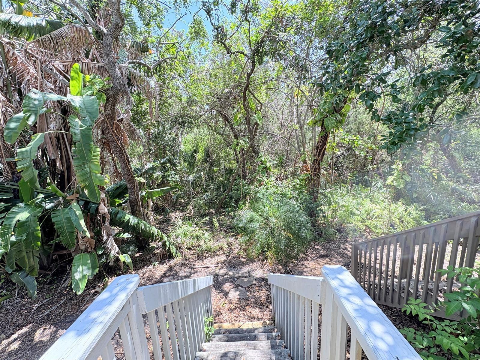 2856 BAYSHORE TRAILS DR, TAMPA, FL, 33611