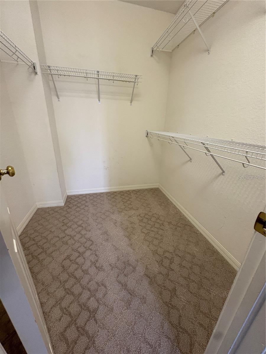 2856 BAYSHORE TRAILS DR, TAMPA, FL, 33611