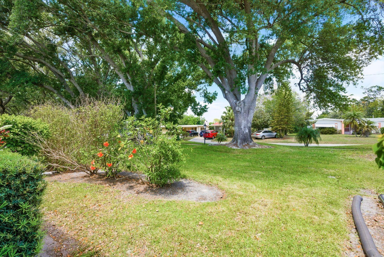 1655 S HIGHLAND AVE #D138, CLEARWATER, FL, 33756