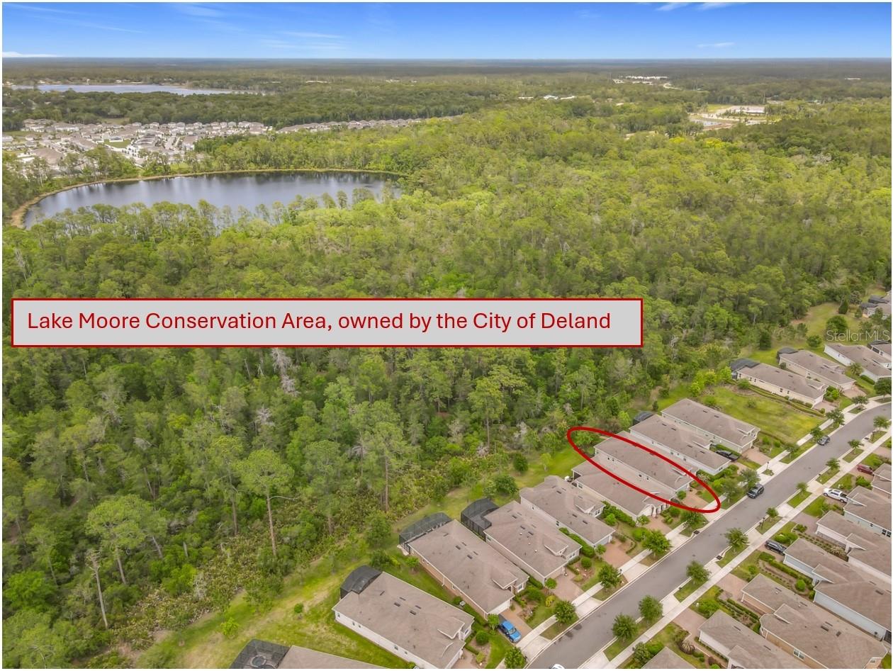 1169 AVERY MEADOWS WAY, DELAND, FL, 32724