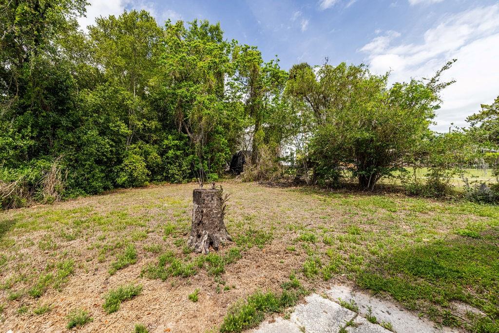 1606 FAHNSTOCK ST, EUSTIS, FL, 32726