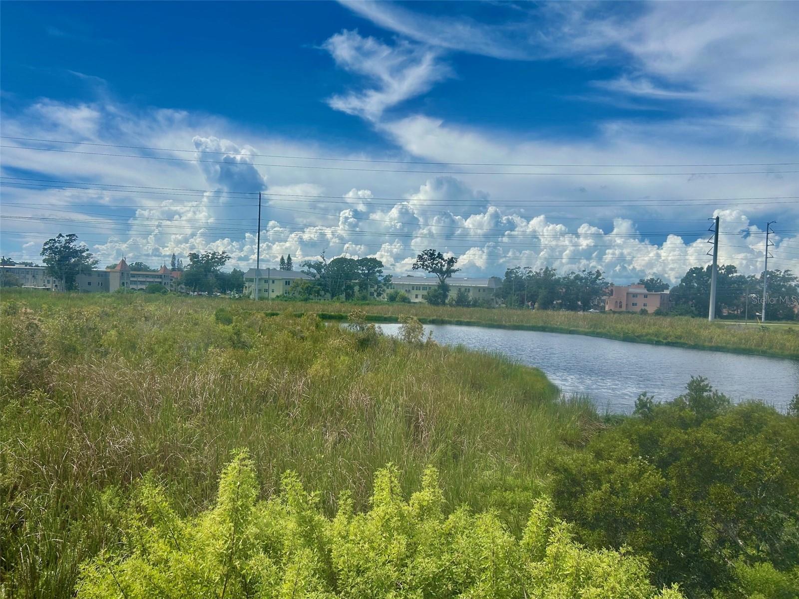 2078 SUN DOWN DR, CLEARWATER, FL, 33763