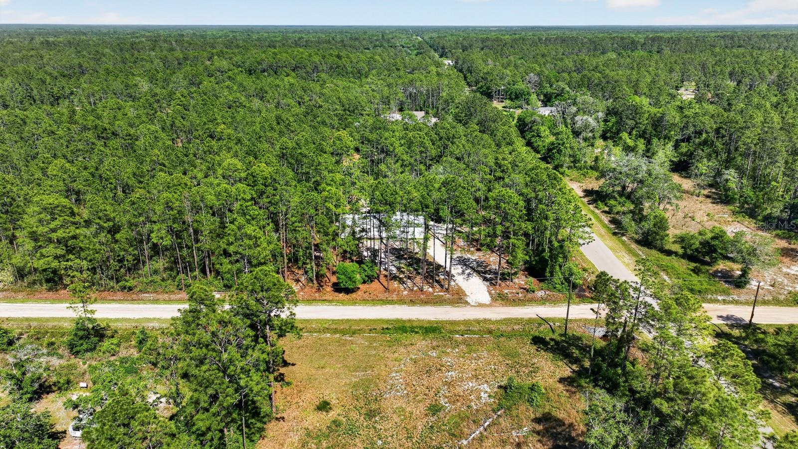 10570 DELGADO AVE, HASTINGS, FL, 32145