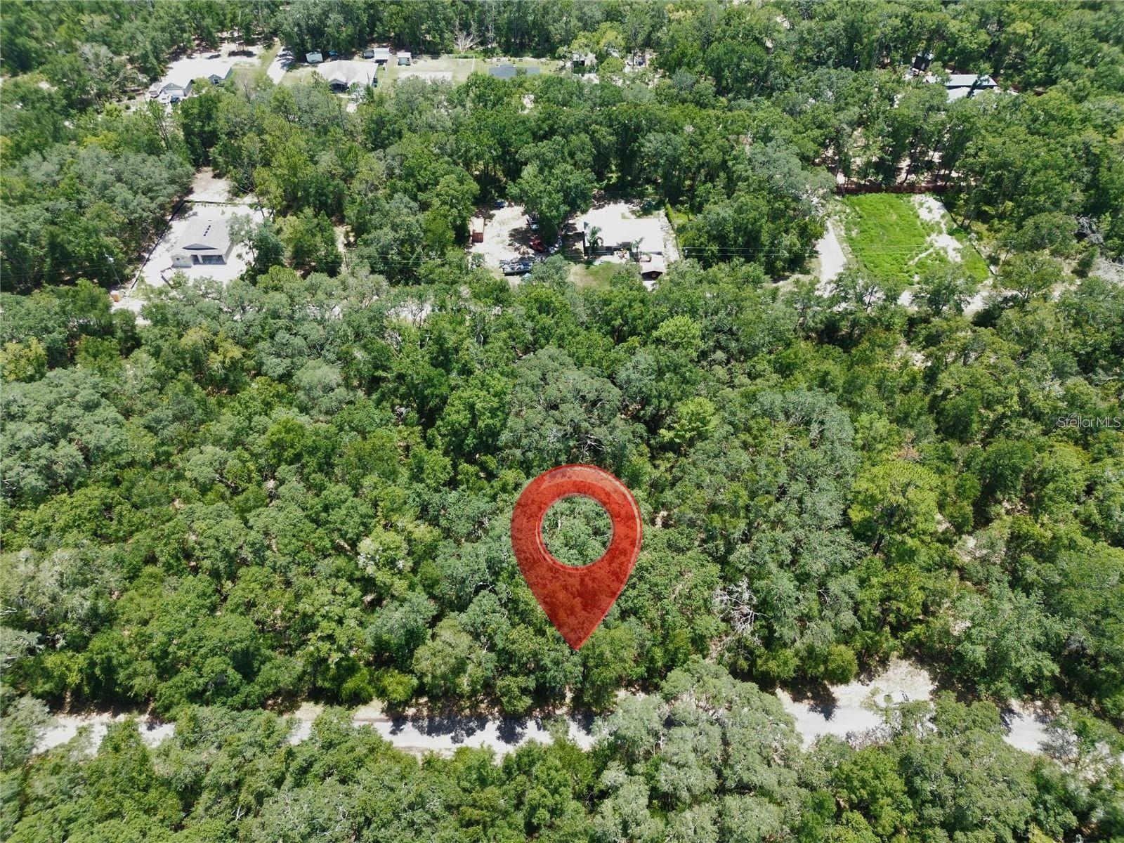 TBD FISHER LANE DR, OCKLAWAHA, FL, 32179