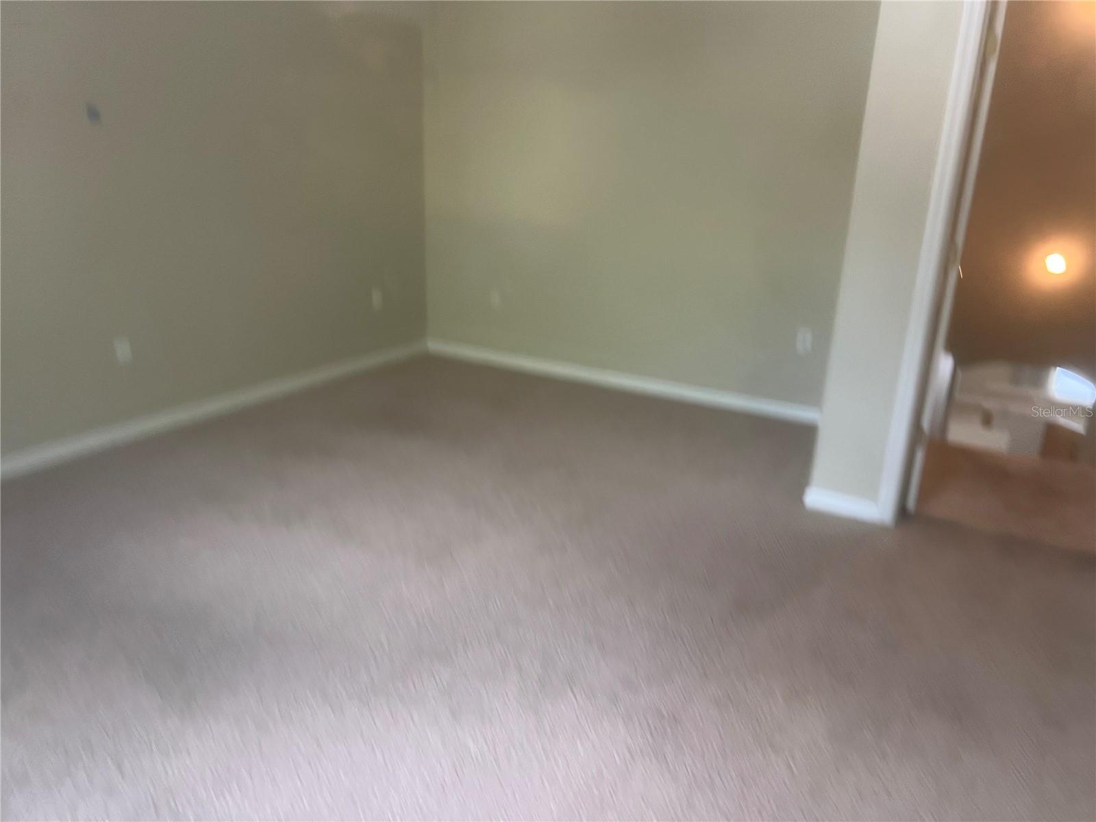 10237 SHADOW BRANCH DR, TAMPA, FL, 33647