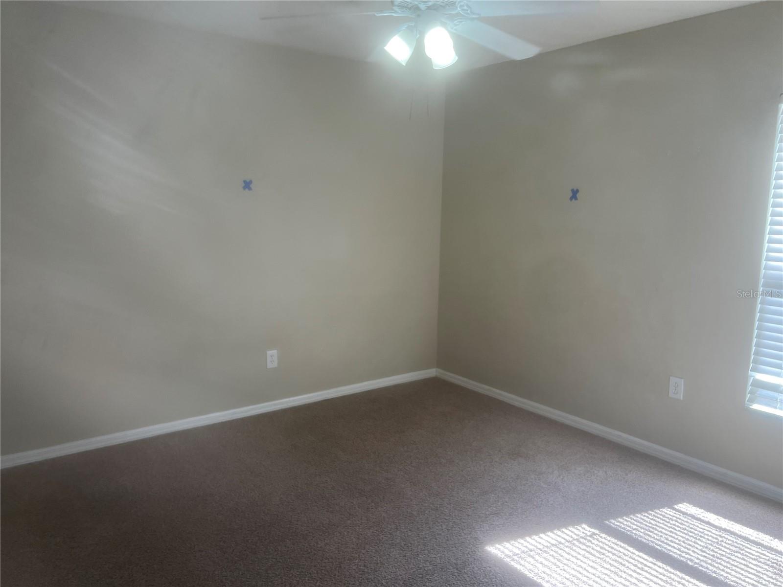 10237 SHADOW BRANCH DR, TAMPA, FL, 33647