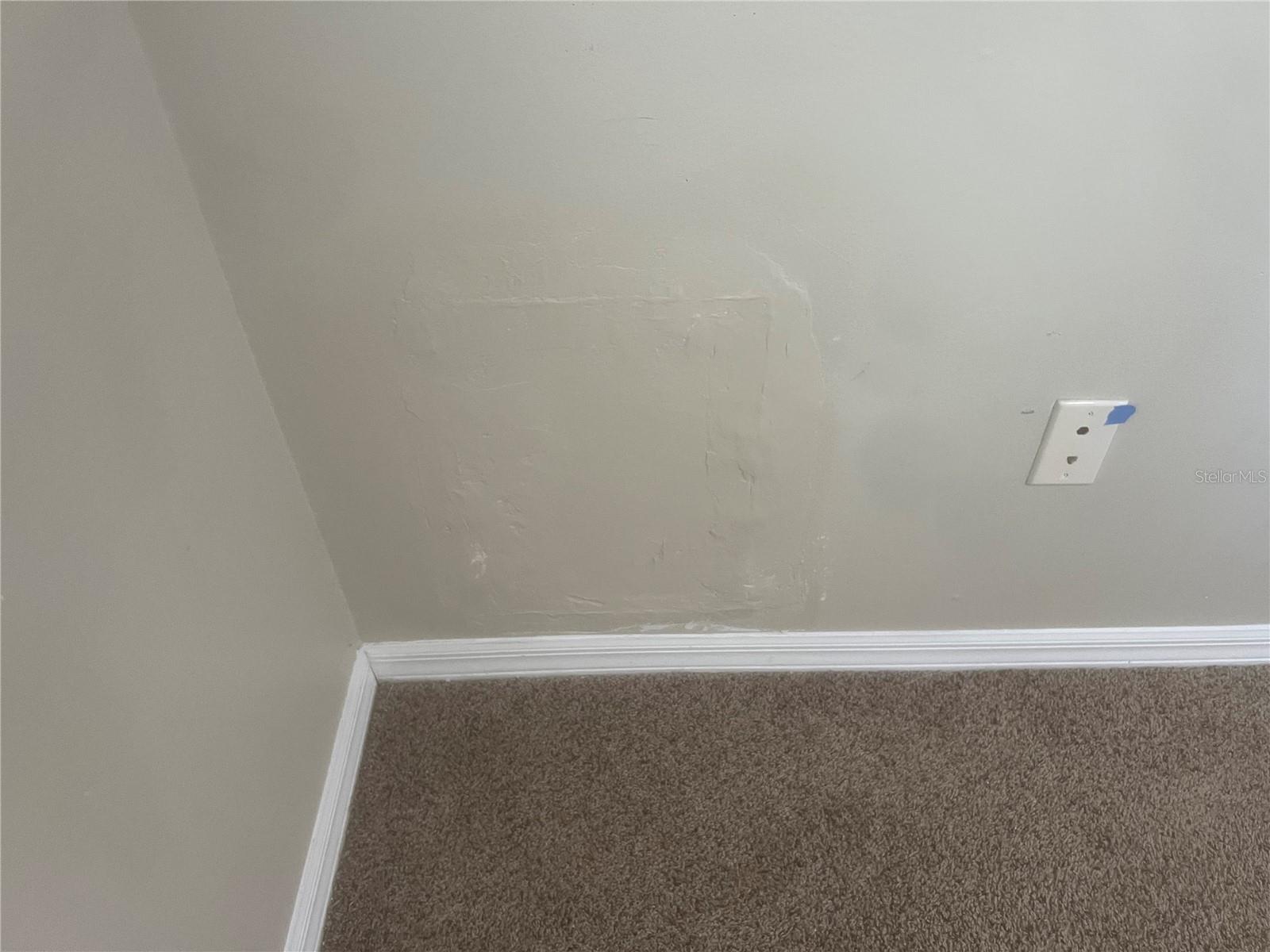 10237 SHADOW BRANCH DR, TAMPA, FL, 33647