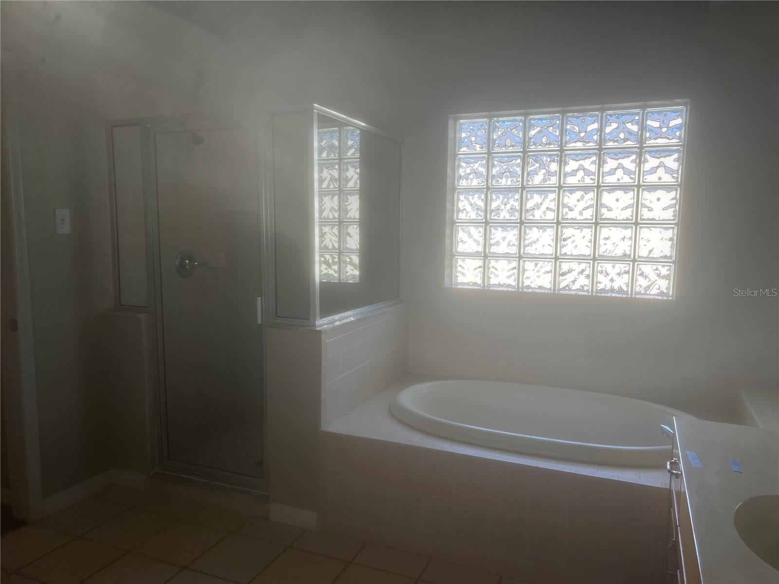 10237 SHADOW BRANCH DR, TAMPA, FL, 33647