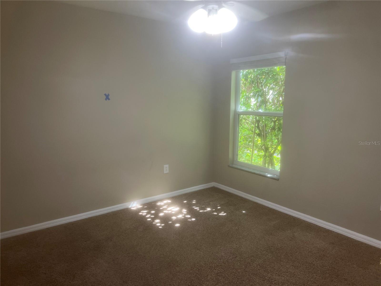 10237 SHADOW BRANCH DR, TAMPA, FL, 33647