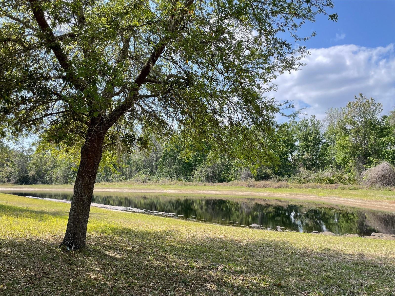 1418 MARSH MEADOW LN, DAVENPORT, FL, 33896