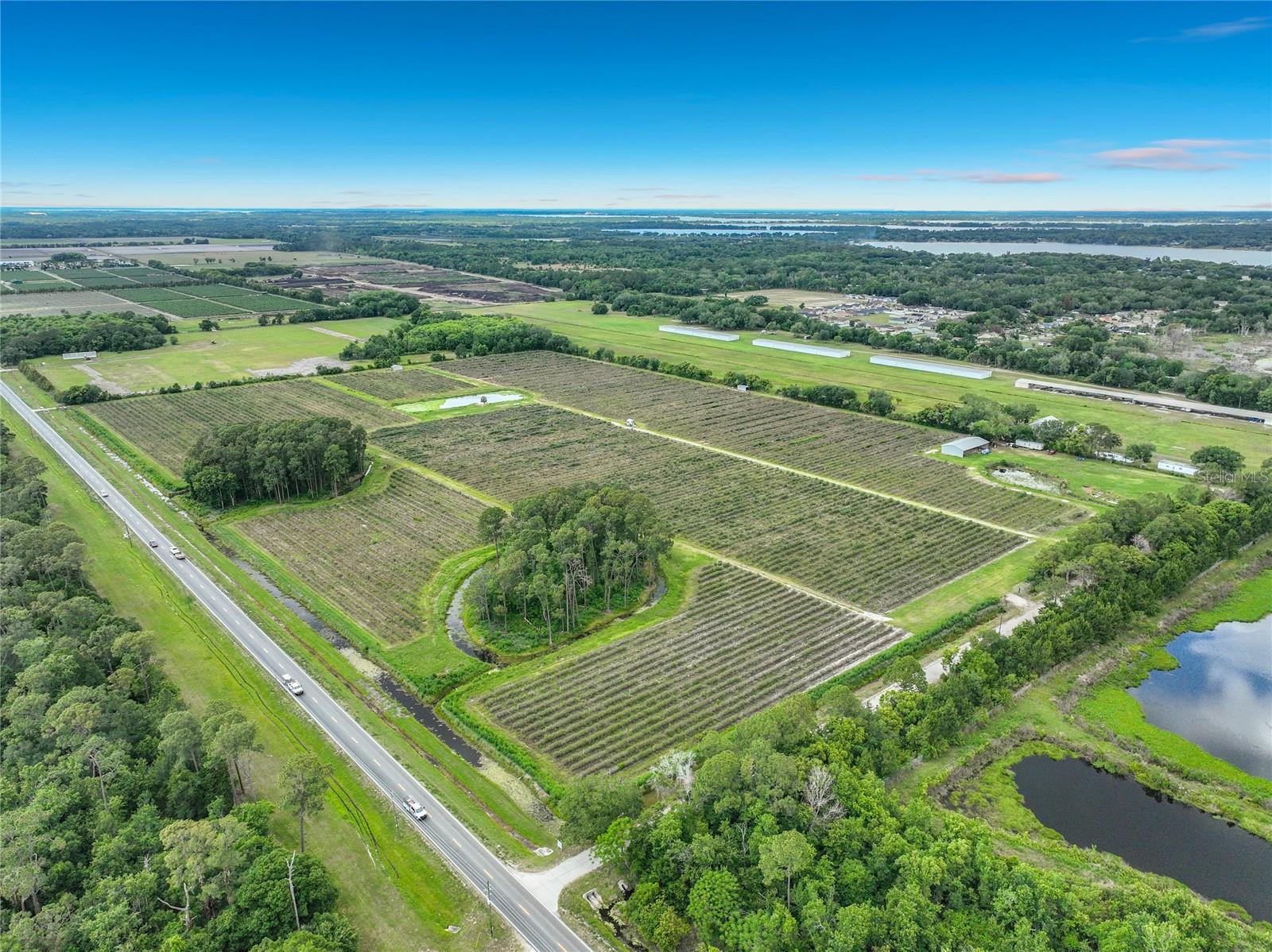 7001 JONES AVE, MOUNT DORA, FL, 32757