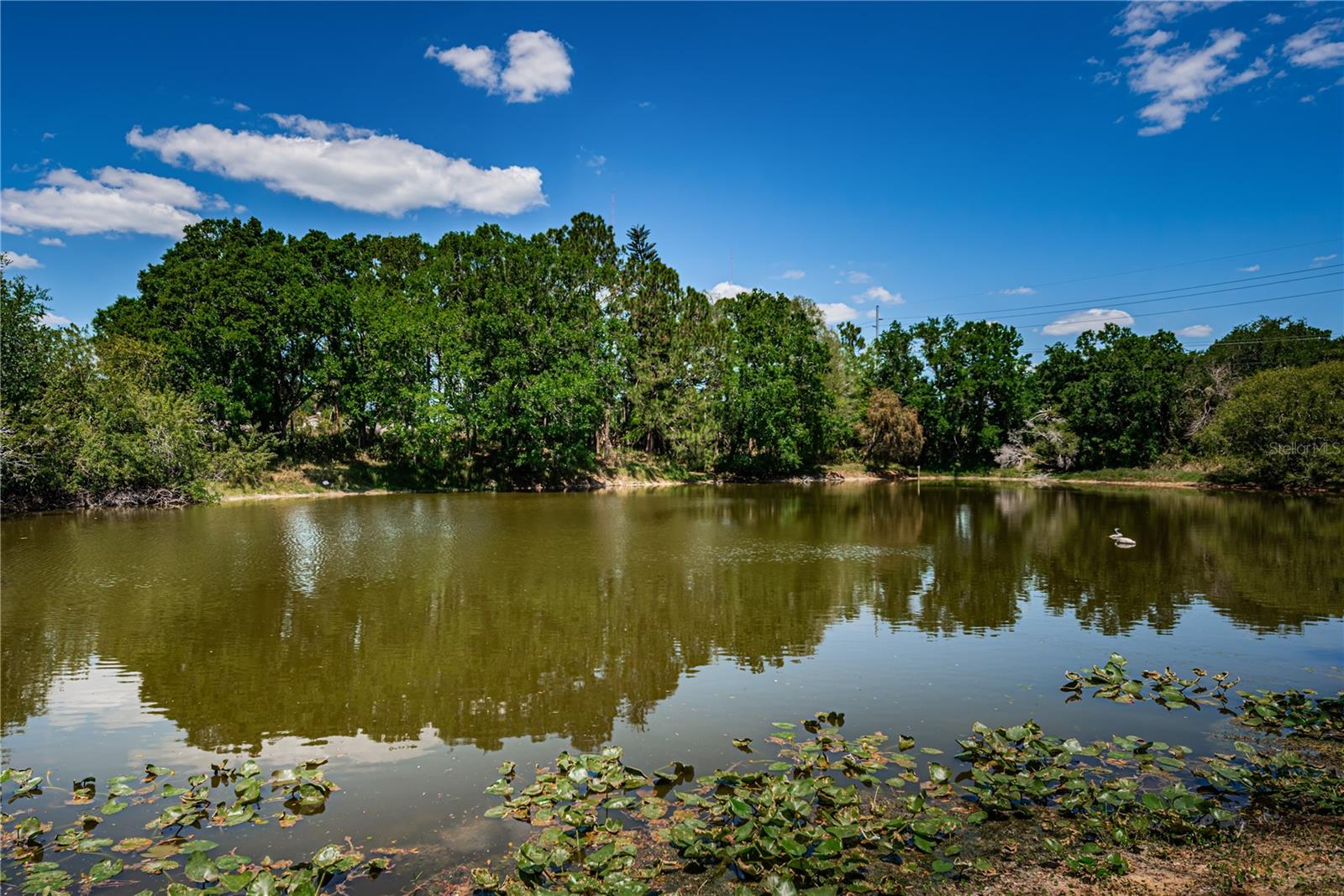 6804 SEAFAIRER DR, TAMPA, FL, 33615