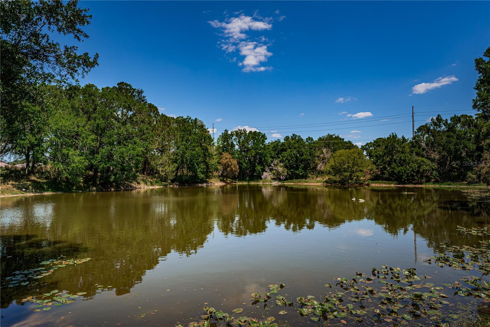 6804 SEAFAIRER DR, TAMPA, FL, 33615