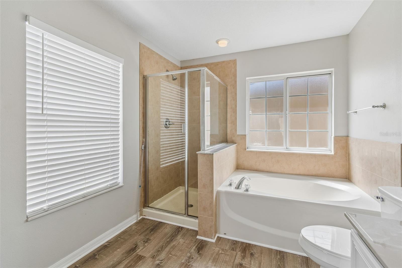 17500 GLENAPP DR, LAND O LAKES, FL, 34638