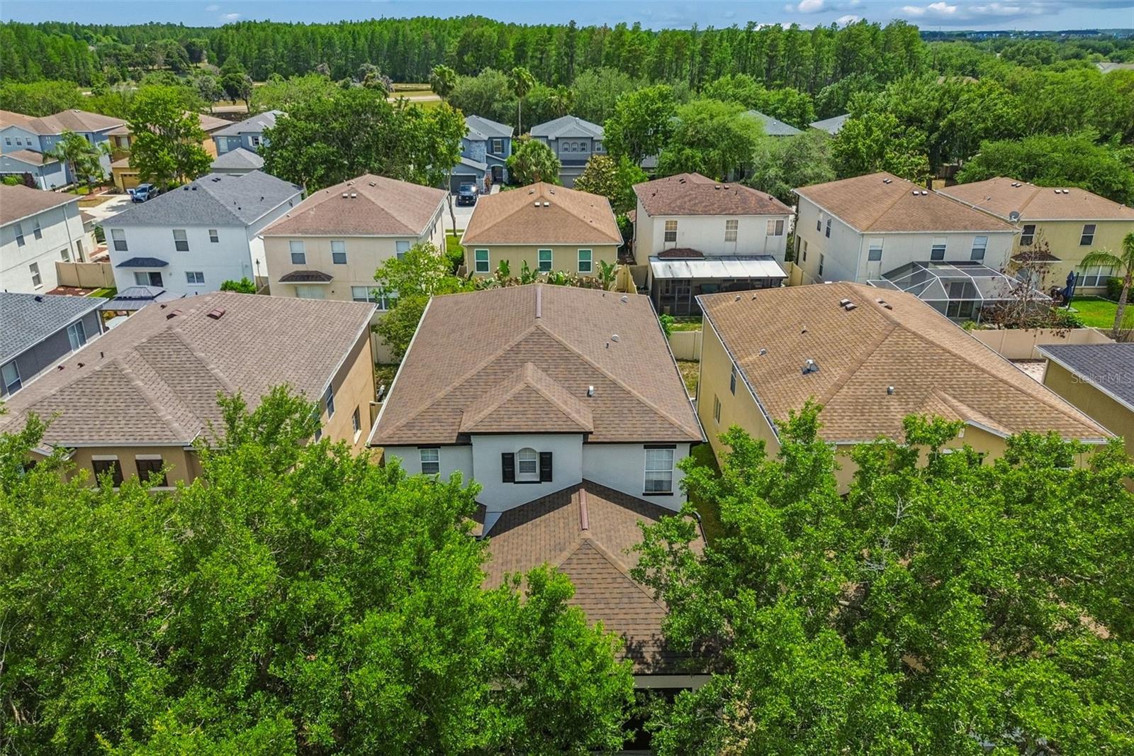 17500 GLENAPP DR, LAND O LAKES, FL, 34638