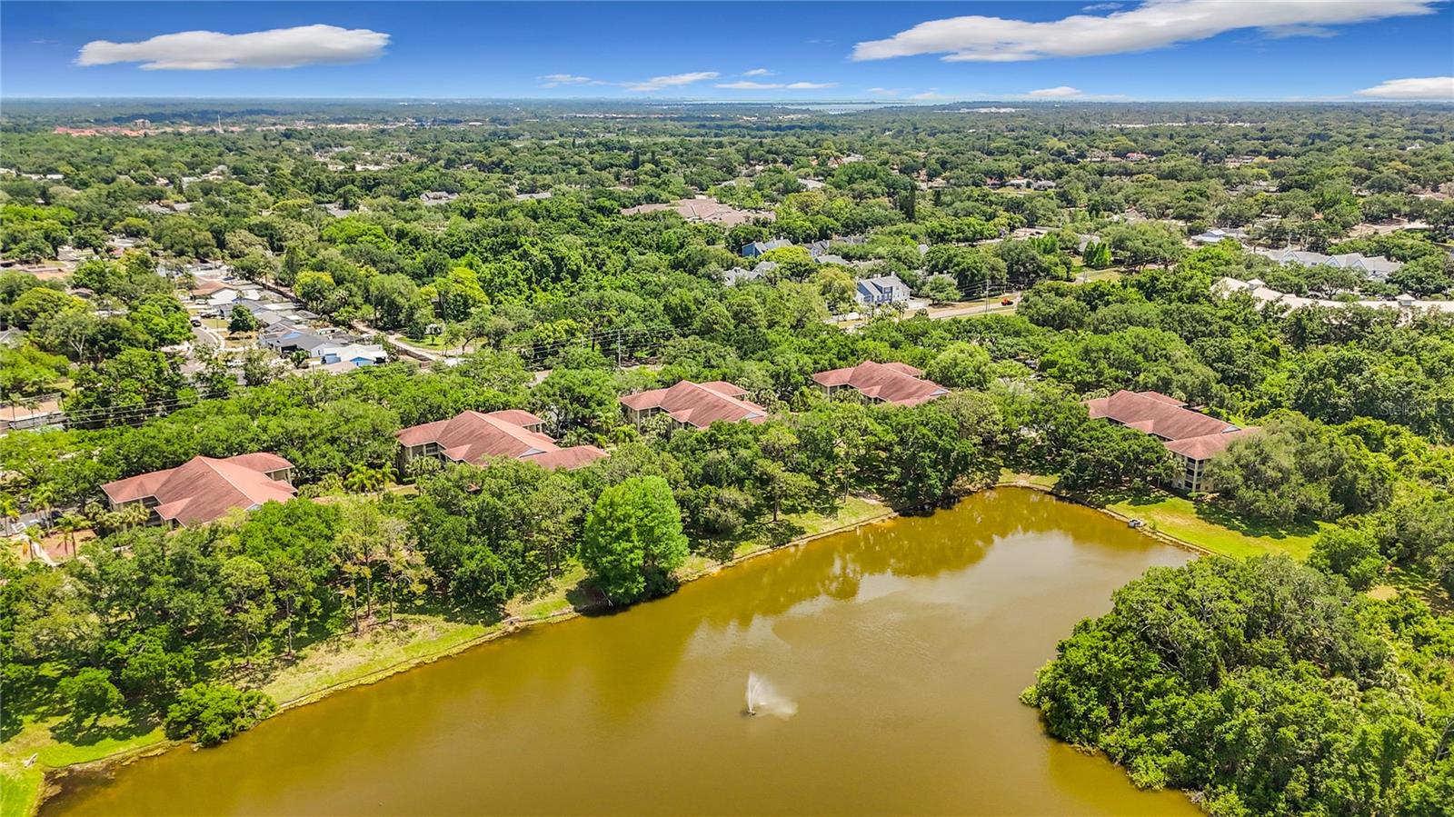 2690 CORAL LANDINGS BLVD #516, PALM HARBOR, FL, 34684