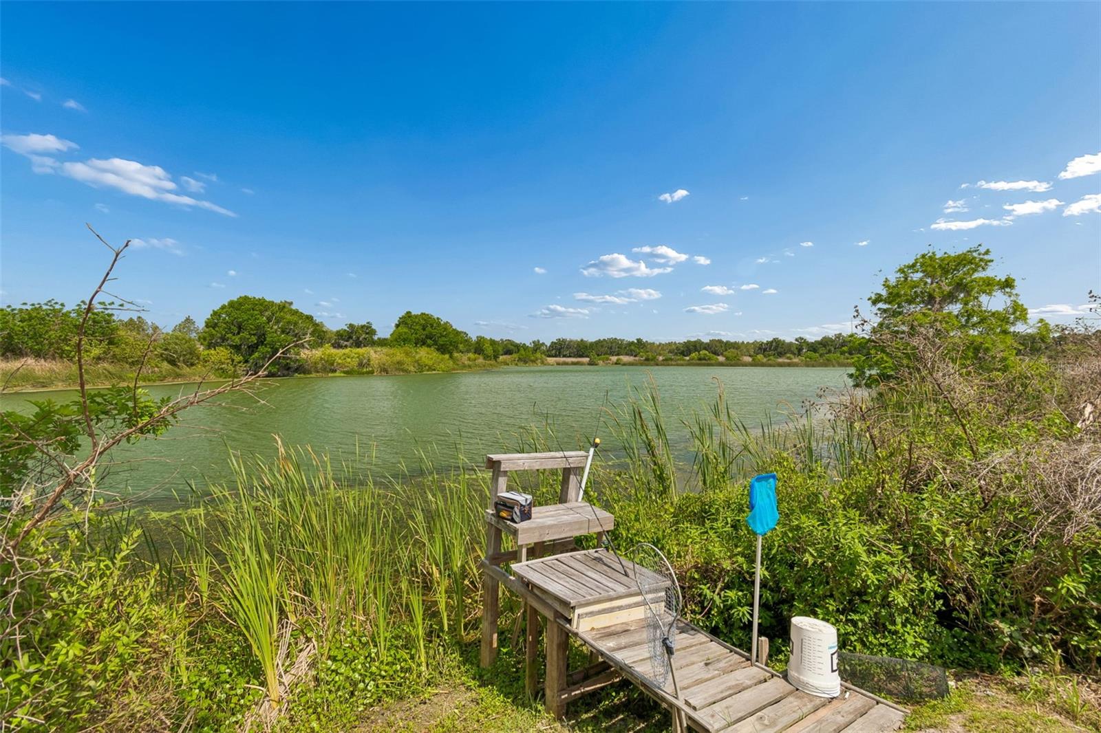 1980 OLD BREWSTER RD, FORT MEADE, FL, 33841