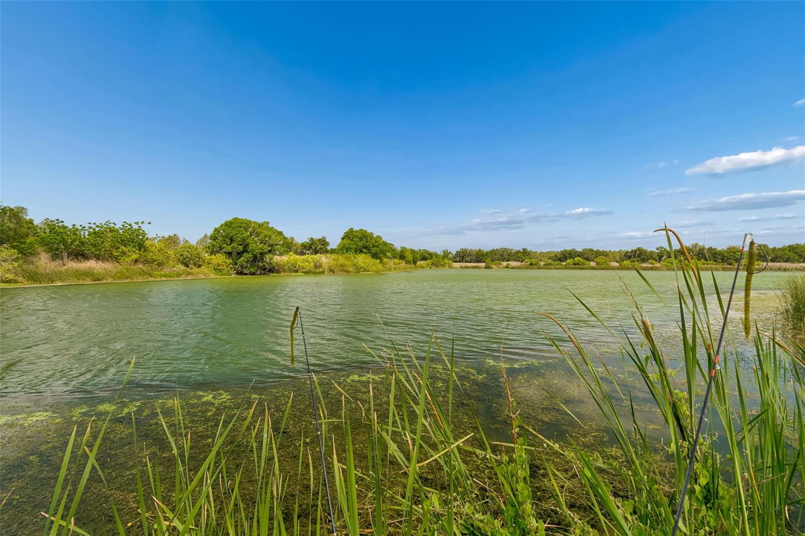 1980 OLD BREWSTER RD, FORT MEADE, FL, 33841