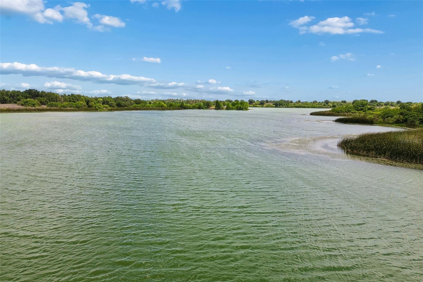 1980 OLD BREWSTER RD, FORT MEADE, FL, 33841