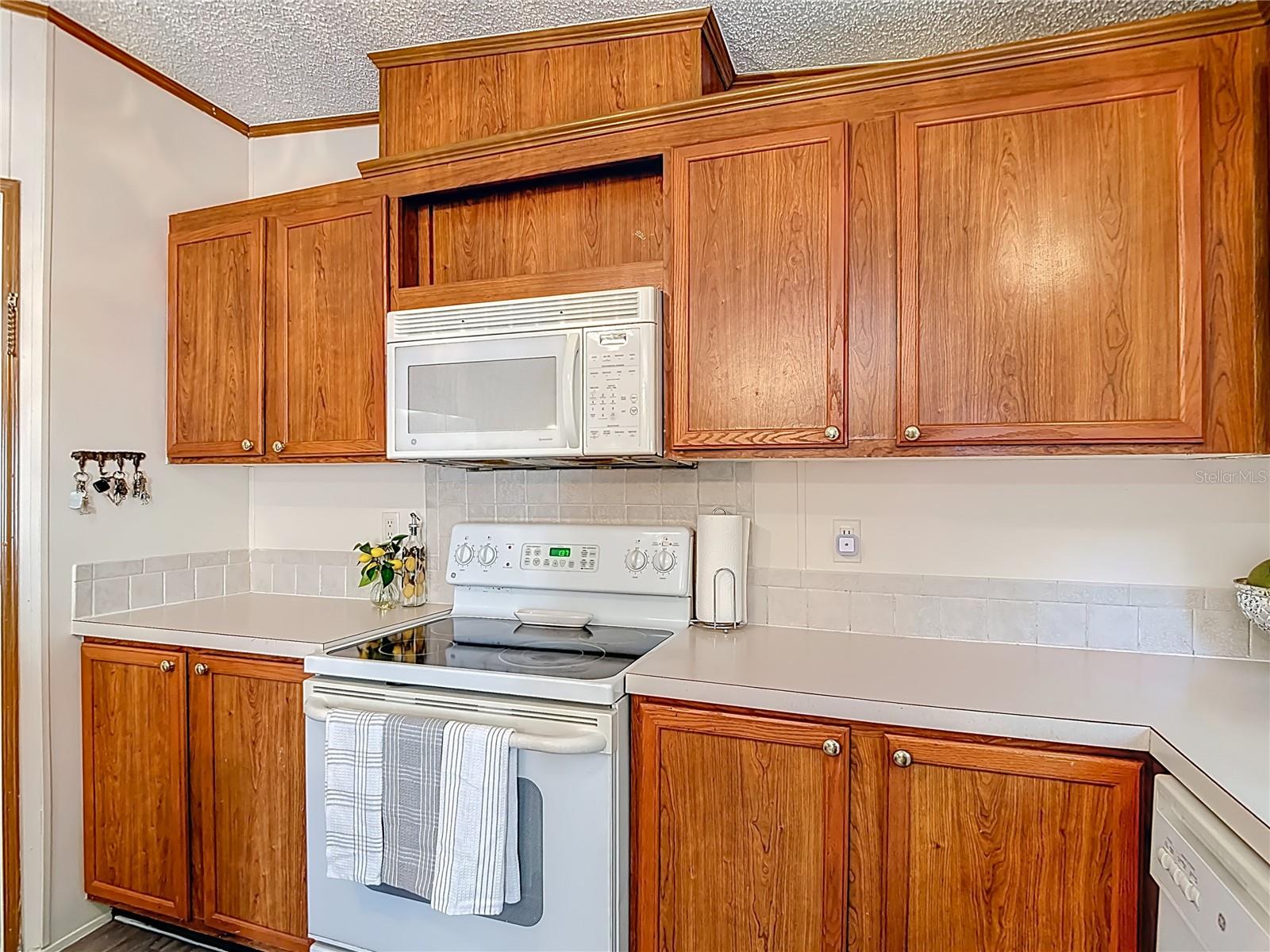 7207 50TH AVE S, TAMPA, FL, 33619