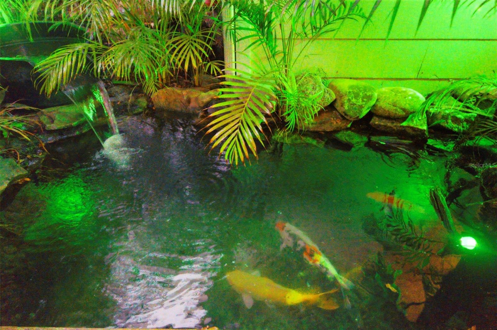 501 BROADWAY, DUNEDIN, FL, 34698